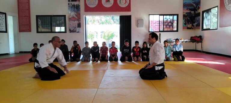 aikido for peace