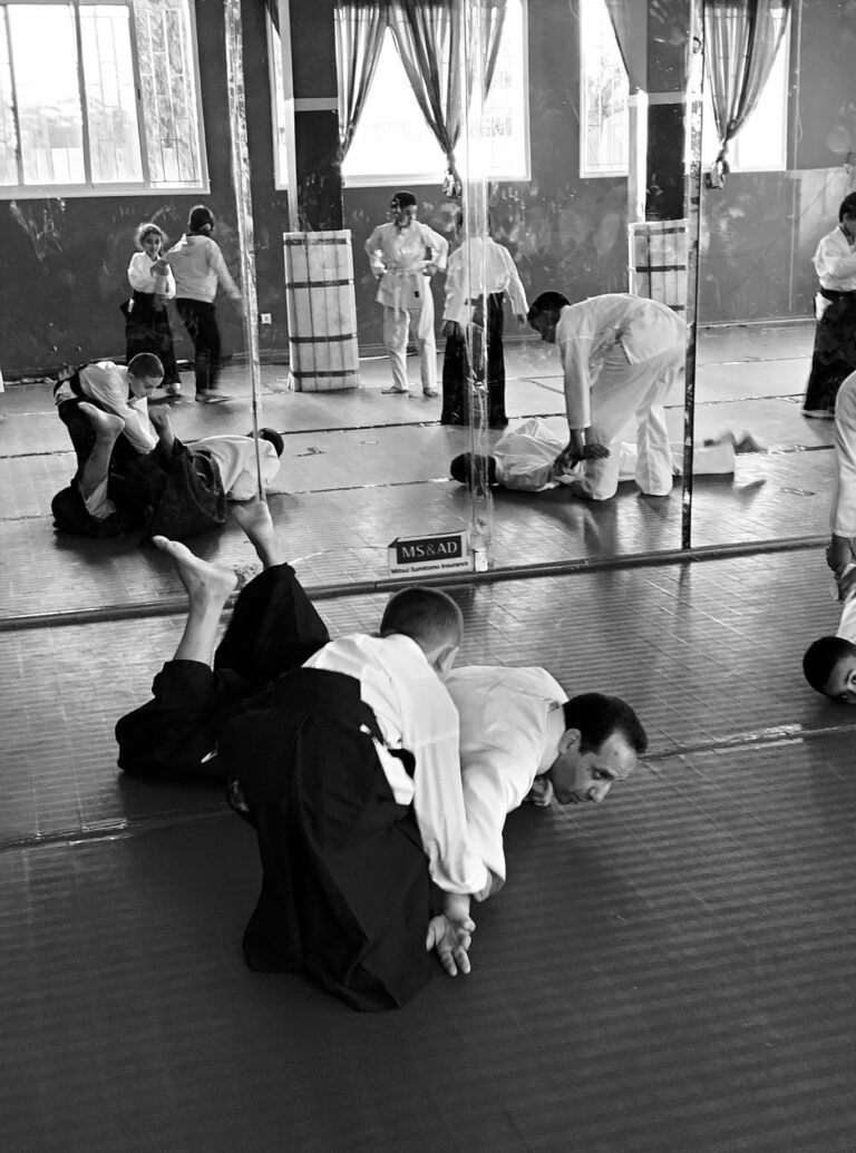 aikido for peace