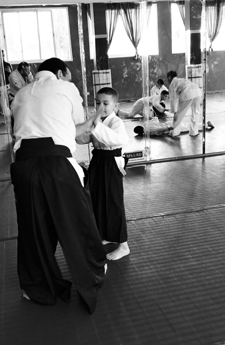 aikido for peace