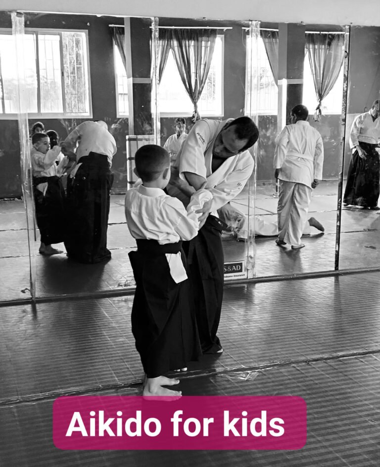 aikido for peace